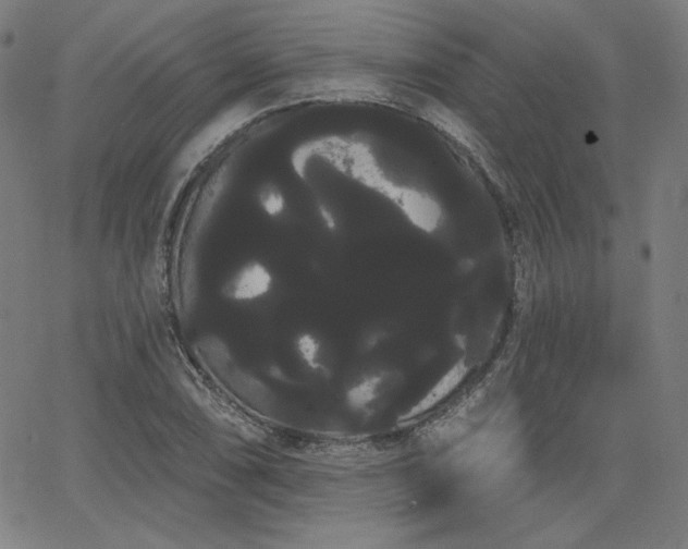 X0000066121074200603101230