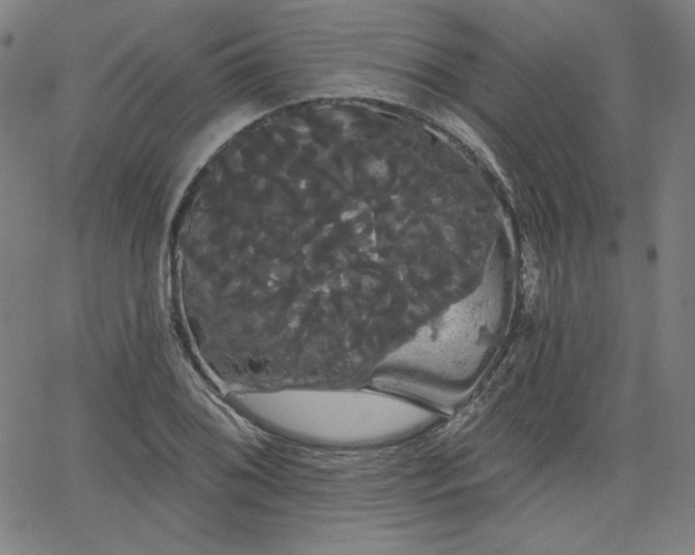 X0000066121076200603101230