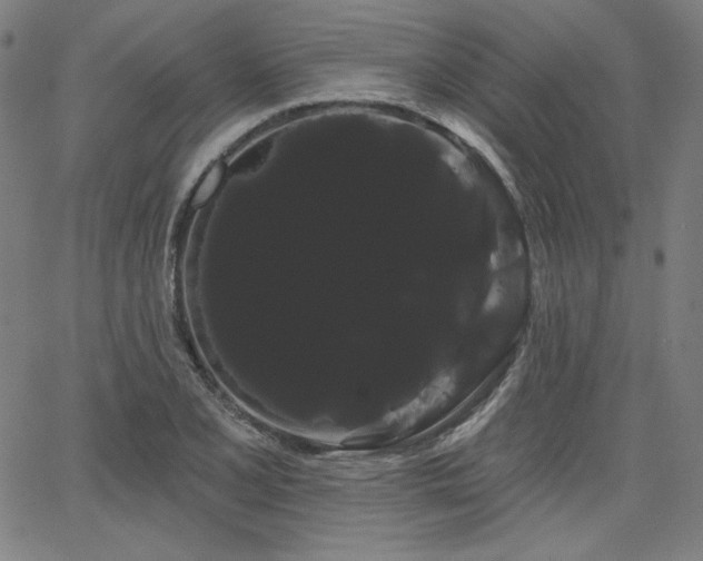 X0000066121077200603101229