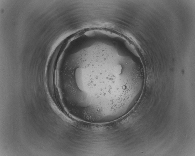 X0000066121080200603101229