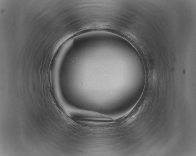 X0000066121081200603101229