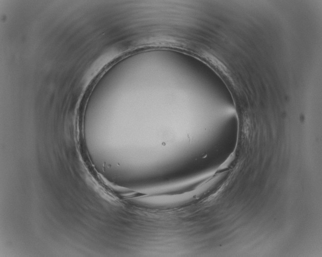 X0000066121082200603101229