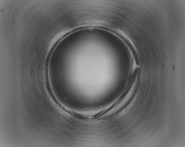 X0000066121085200603101229