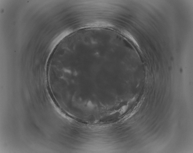 X0000066121087200603101229