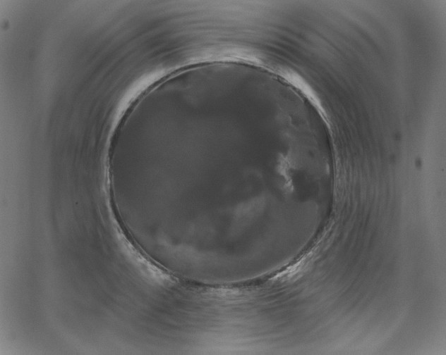 X0000066121088200603101229