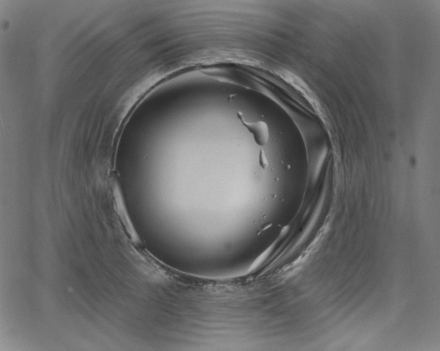 X0000066121089200603101229