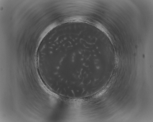 X0000066121090200603101229