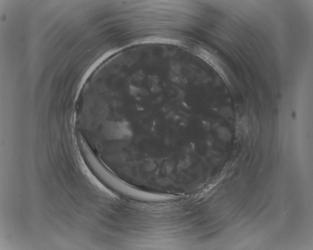 X0000066121092200603101229