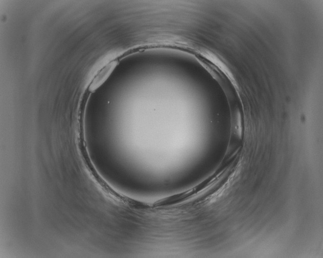 X0000066121093200603101229