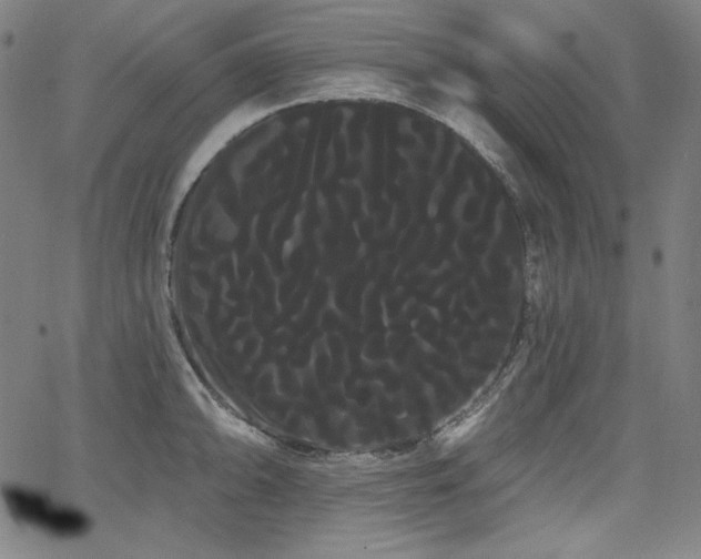 X0000066121094200603101229