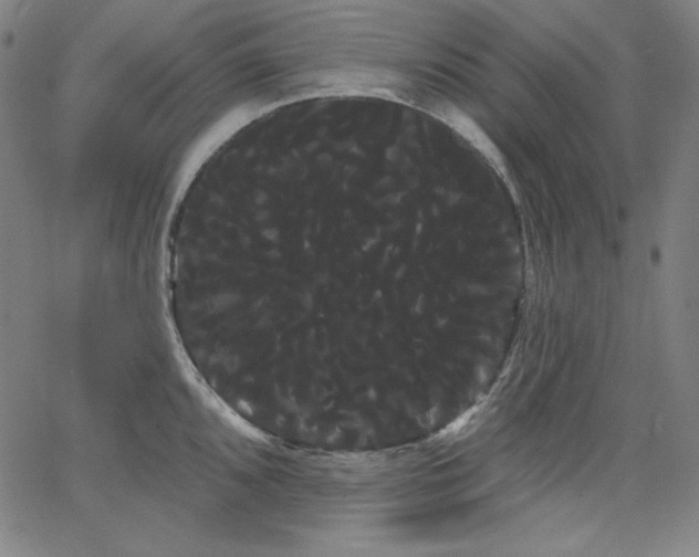 X0000066121096200603101229