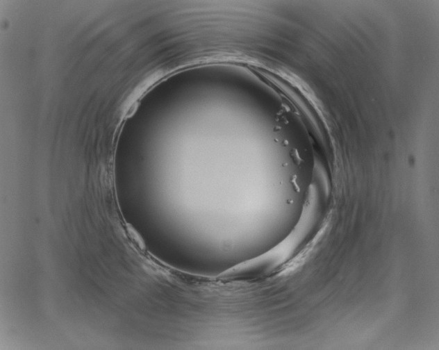 X0000066121097200603101229