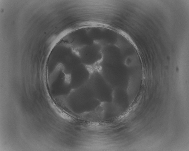 X0000066121098200603101229