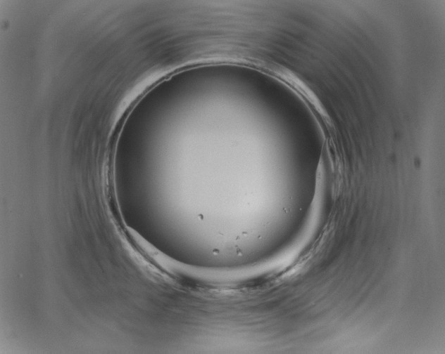 X0000066121101200603101229