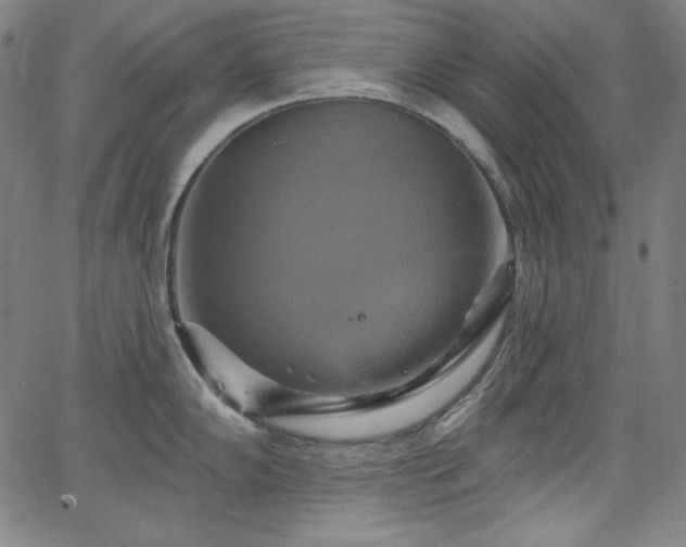 X0000066121102200603101229