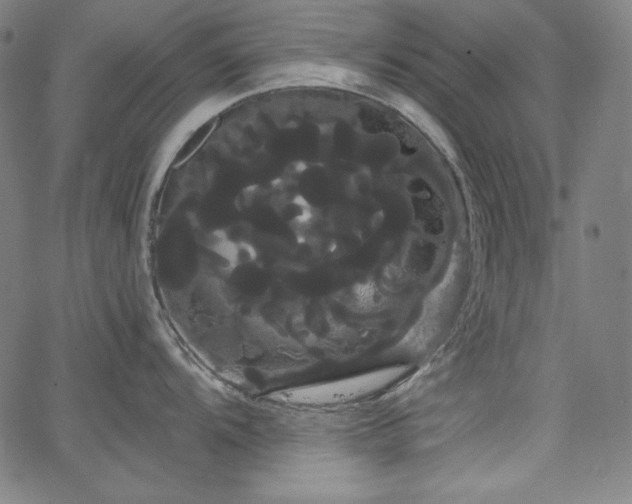 X0000066121104200603101229