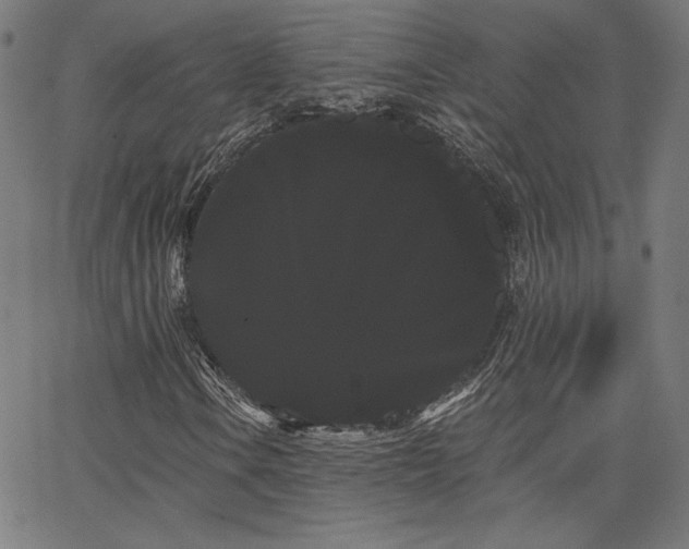 X0000066121106200603101228