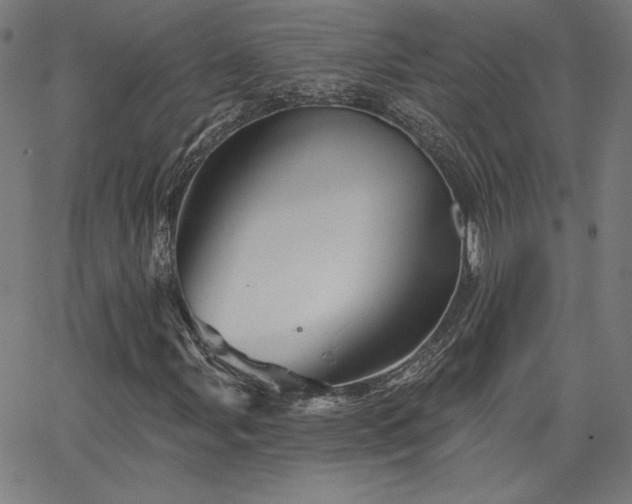 X0000066121107200603101228