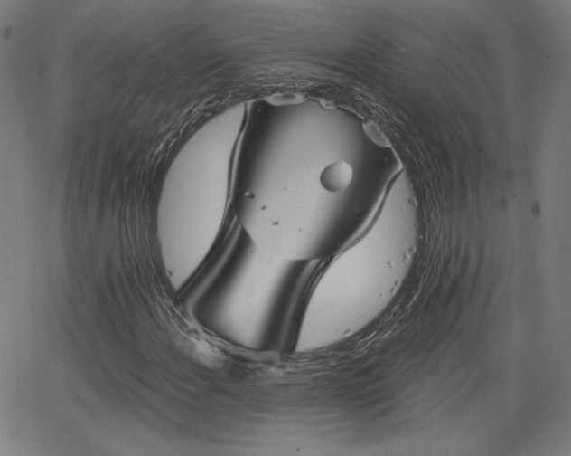 X0000066121108200603101228