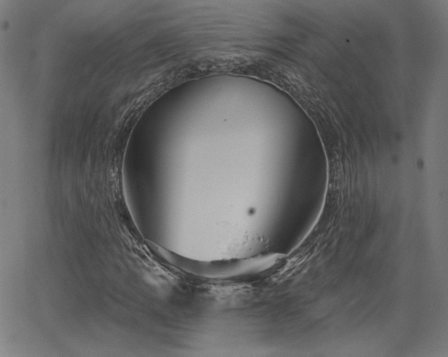 X0000066121109200603101228