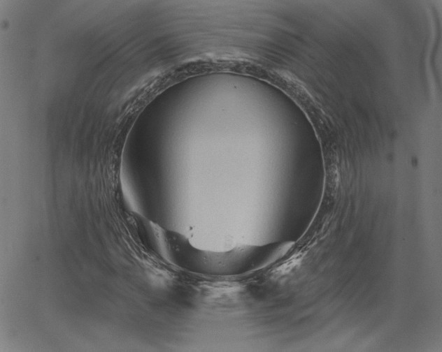 X0000066121110200603101228