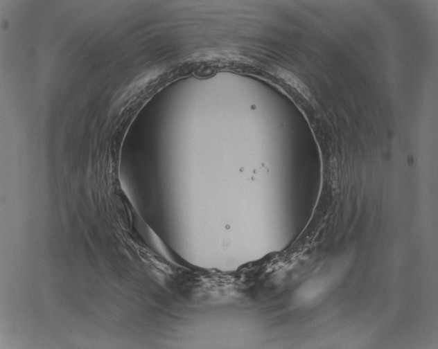 X0000066121111200603101228