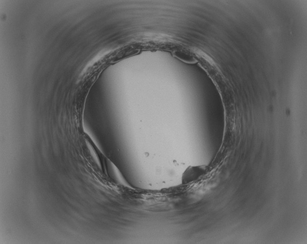 X0000066121112200603101228