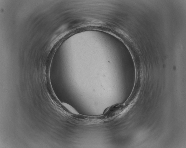 X0000066121113200603101228