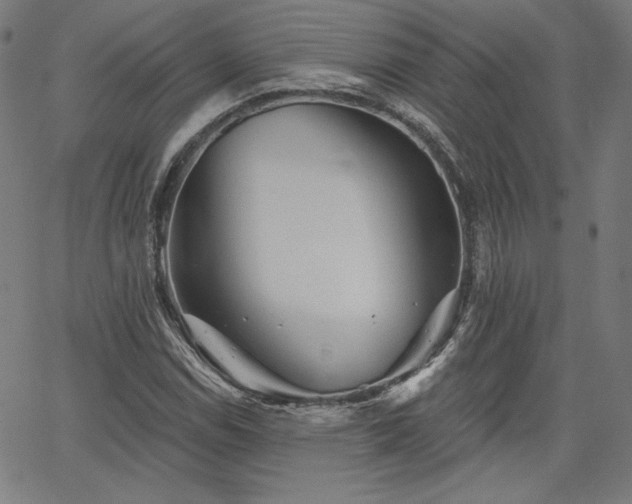 X0000066121114200603101228