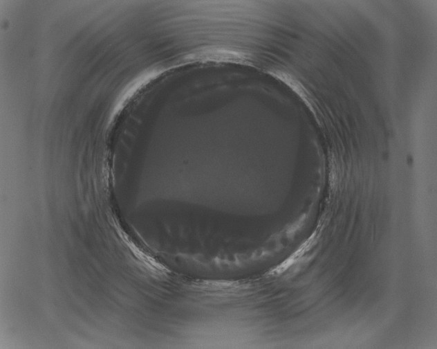 X0000066121115200603101228