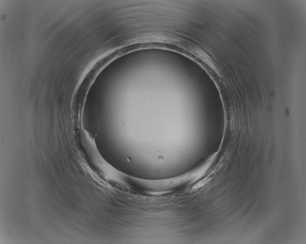 X0000066121116200603101228