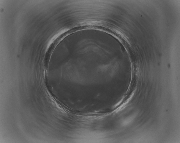 X0000066121117200603101228