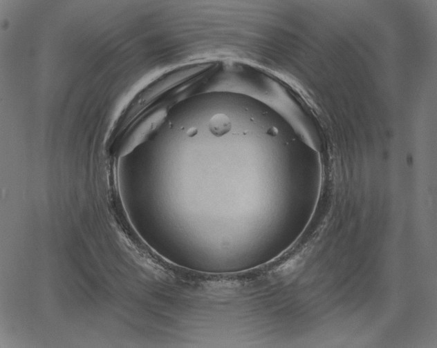 X0000066121118200603101228