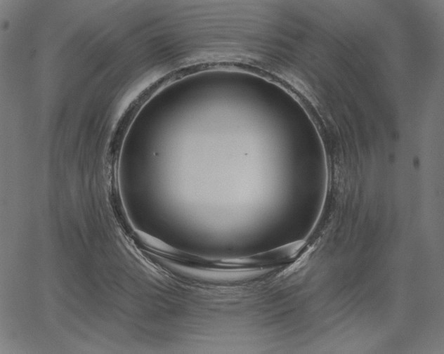 X0000066121119200603101229