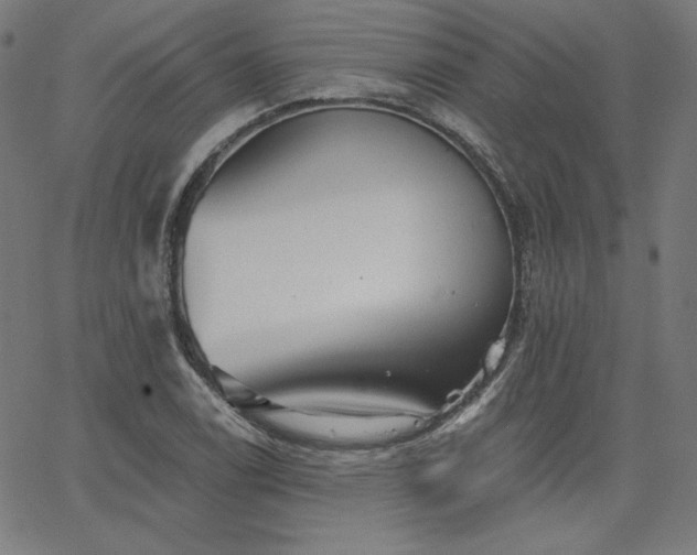 X0000066121122200603101229