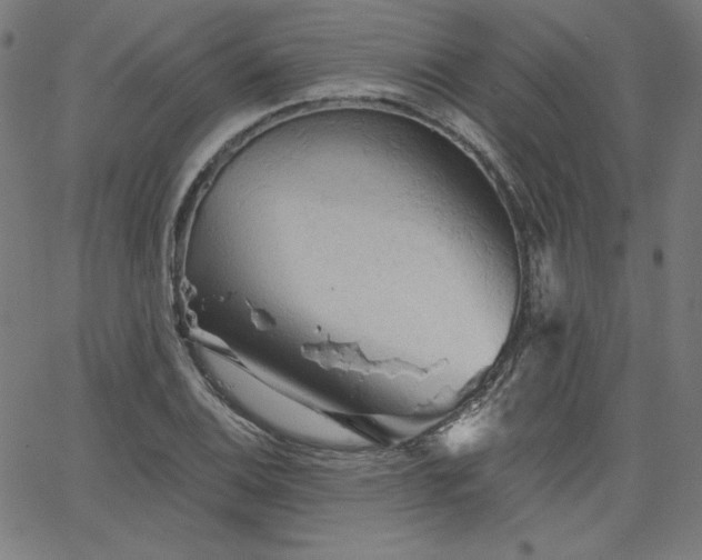 X0000066121124200603101229