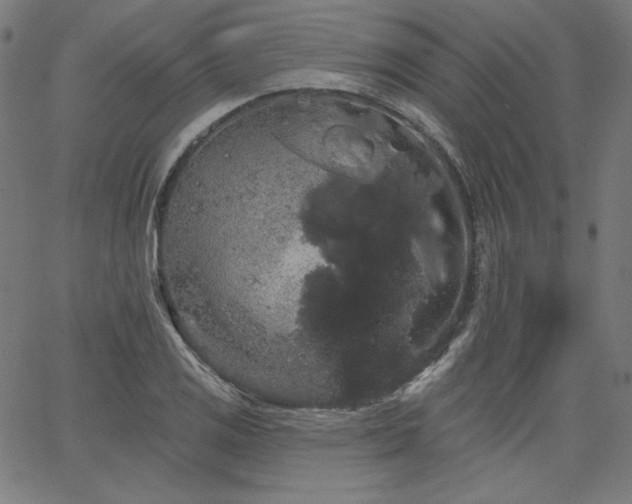 X0000066121125200603101229