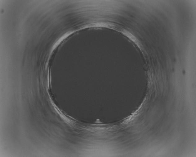 X0000066121127200603101229