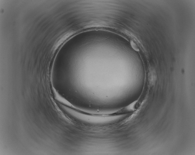 X0000066121129200603101229