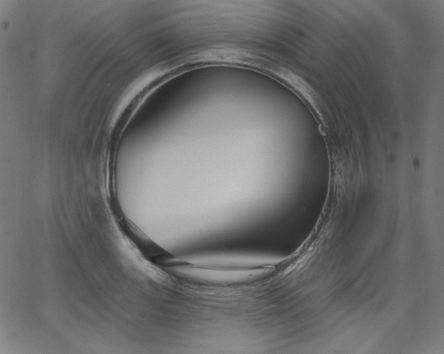 X0000066121131200603101229