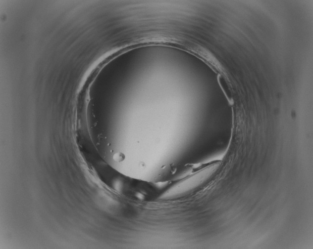 X0000066121132200603101229