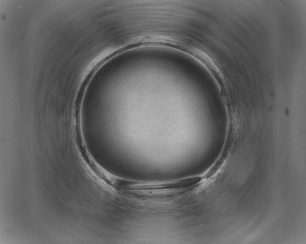 X0000066121133200603101229