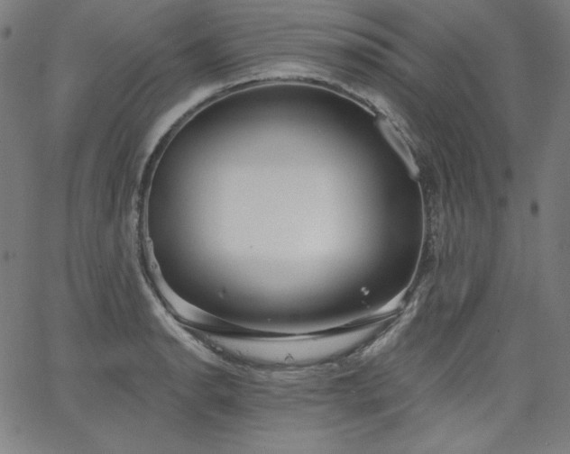 X0000066121134200603101229