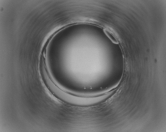 X0000066121136200603101229