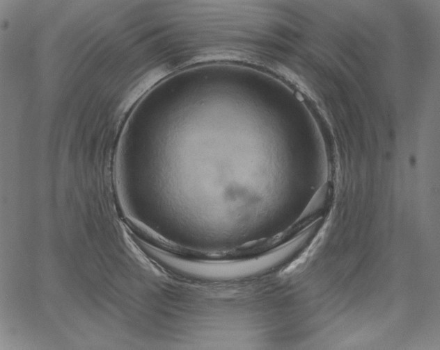 X0000066121137200603101229