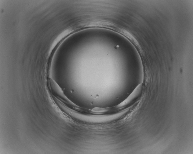 X0000066121138200603101229