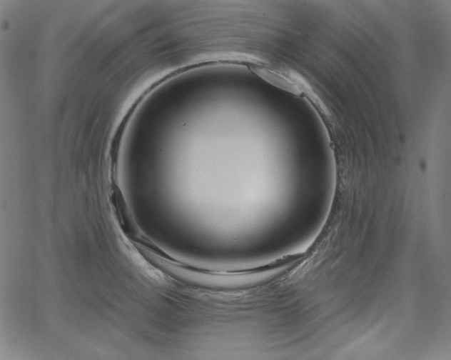 X0000066121140200603101229