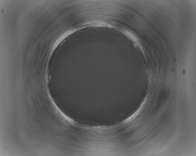 X0000066121141200603101229