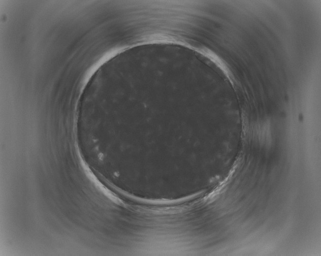 X0000066121142200603101229