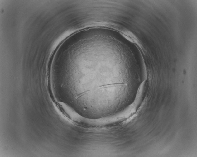 X0000066121143200603101229